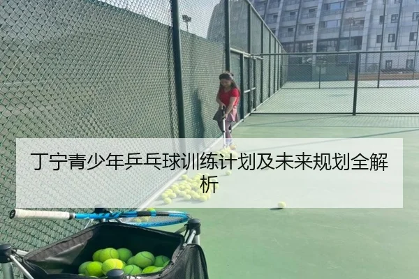 丁宁青少年乒乓球训练计划及未来规划全解析